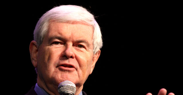 Newt Gingrich: Republicans Should Not Be Afraid of Government Shutdown