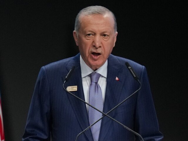 FILE - Turkey President Recep Tayyip Erdogan speaks during a plenary session at the COP29