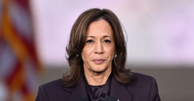 Kamala Harris' Deputy Campaign Manager Admits Democrats Lost the 'Sports and Culture' War