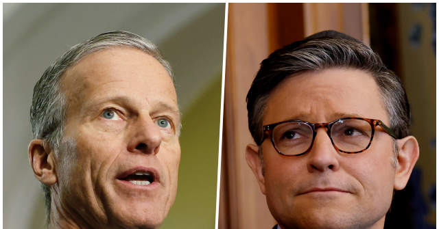 Republicans: New Congress Must Prioritize Crackdown on Illegal Immigration