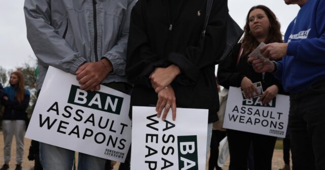 Madison High School Students Rally for 'Assault Weapons' Ban After Handgun Attack