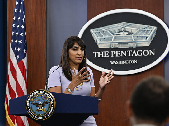 WASHINGTON DC, UNITED STATES - AUGUST 15: U.S. Defense Department Deputy Press Secretary S