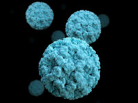 Norovirus Cases Surge Throughout Country, According to CDC