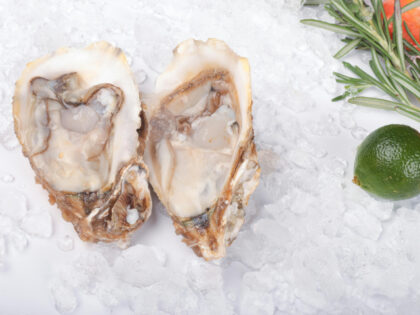 oysters