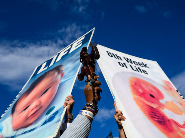 Boston, MA - November 16: Pro-life marchers hold a cross and signs in Kenmore Square at th