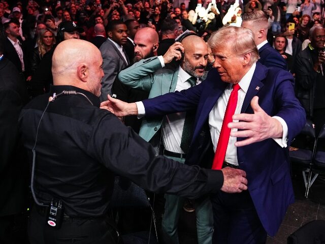 NEW YORK, NEW YORK - NOVEMBER 16: (L-R) Joe Rogan greets President-elect Donald Trump duri