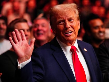 NEW YORK, NEW YORK - NOVEMBER 16: President-elect Donald Trump looks on during the UFC 309