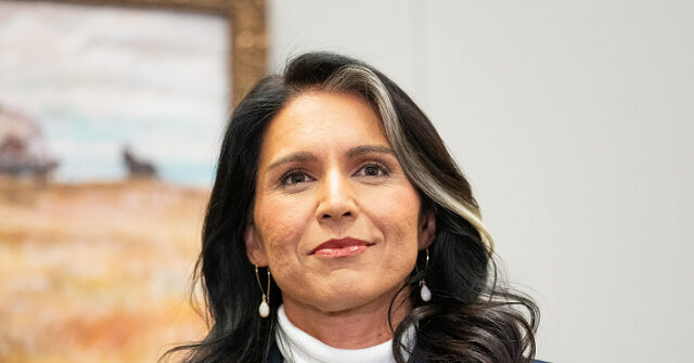 Ex-CIA Counterterrorism Chief Endorses Lt. Col. Tulsi Gabbard for DNI, Praising Her 'Rare Form of Courage'