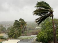 Cyclone Chido death toll rises to 94 in Mozambique