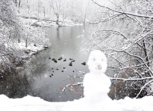 Winter solstice arrives; storms could disrupt record holiday travels