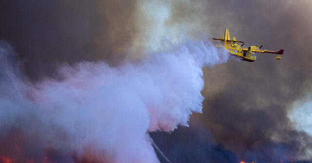 Expert: Ocean Water Used to Combat L.A. Blazes Could Pose Risks
