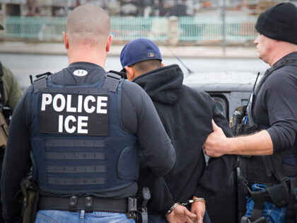 Chicago - In this Tuesday, Feb. 7, 2017, photo released by U.S. Immigration and Customs En