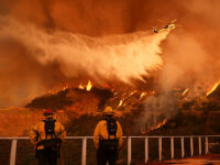 Report: Palisades Fire Predicted to Have ‘Human Origins’