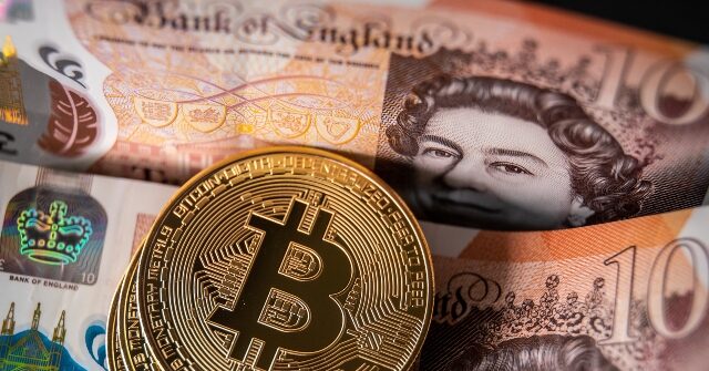 Treasure Hunt Fail: Judge Ends Man's Decade-Long Quest for $750 Million Bitcoin Fortune