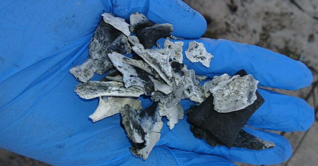 Mexican State Kicks Off 2026 with Four New Cartel Gravesites