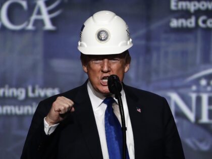 President Donald Trump pumps his fist after putting on a hard hat given to him before spea