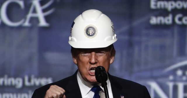 Donald Trump in a hard hat