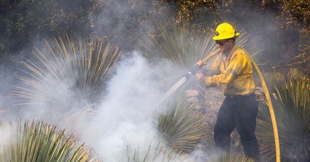 Dem Rep. Whitesides: We Need 'Huge' Clearing Work to Lower Fire Risk, Increase 'By a Factor of Potentially Ten or More'