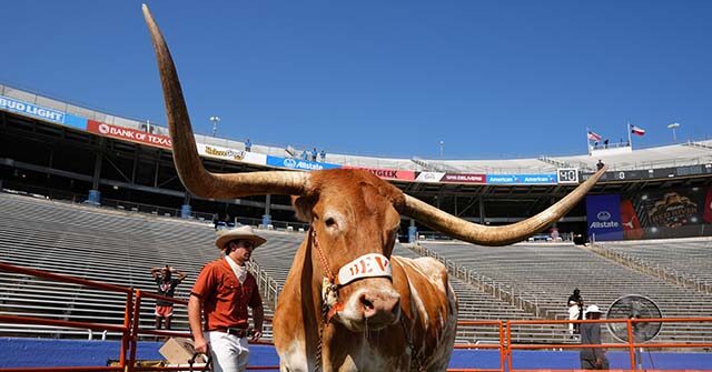 PETA Demands SEC Commissioner Ban Texas Longhorns Mascot from Cotton Bowl Classic