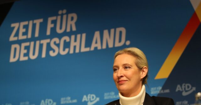 German Anti-Mass Migration AfD Party Surges in Polls Ahead of Election