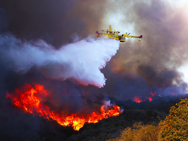 Report: New Year’s Eve Fire Caused by Fireworks May Have Caused Palisades Fire