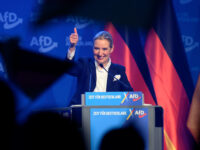 Sovereigntist AfD Party Soars in German Poll With Just Weeks to Go to Federal Election