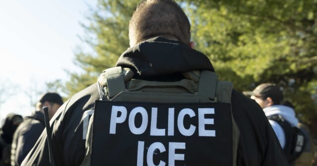 ZOA Stands Up Against Left-Wing Jewish Groups Opposing ICE