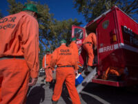 California Utilizing Hundreds of Inmates to Fight Ongoing L.A. Fires