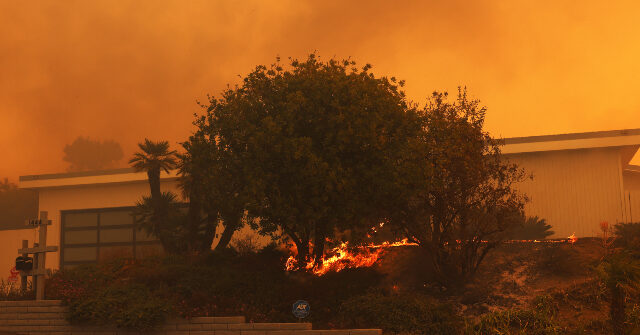 Apocalyptic Video Shows Two Men and Dog Surrounded by Blaze in Home