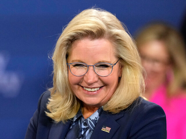 Former Rep. Liz Cheney (R-WY) attends a campaign event with Democratic presidential nomine