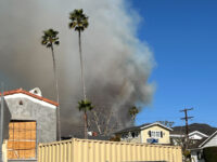 Brush Fire Spreads Into Hollywood Hills Amid ‘Life-Threatening’ Wind Conditions