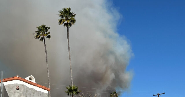 Brush Fire Spreads Into Hollywood Hills Amid 'Life-Threatening' Wind Conditions