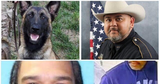 Texas Police K-9 Shot After Finding Alleged Killer of Sheriff's Deputy