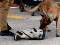 FBI: New Orleans Suspect Planted Two IEDs Before Attack, Is Believed to Have Acted Alone