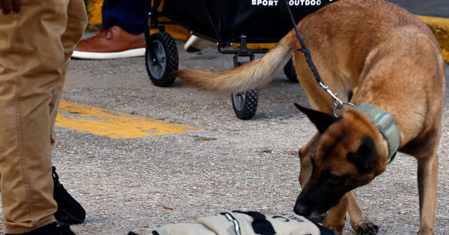 FBI: New Orleans Suspect Planted Two IEDs Before Attack, Is Believed to Have Acted Alone