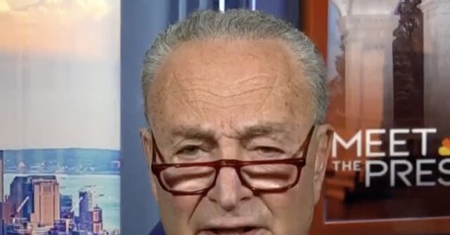 Schumer: 'We Didn’t' Mislead the American Public About Biden’s Cognitive Decline