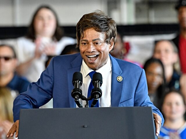 ROMULUS, MICHIGAN - AUGUST 7: U.S. Congressman Shri Thanedar speaks as U.S. Representative