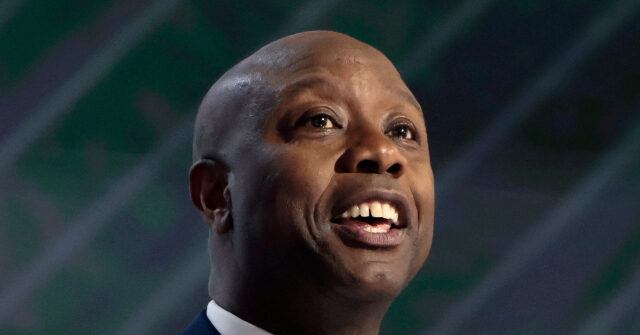 Sen. Tim Scott on Peters' Retirement: Open Michigan Seat Winnable with Trump
