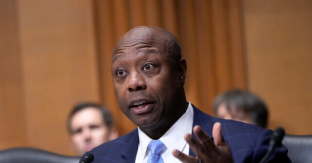 Exclusive — Sen. Tim Scott: 'Disgusting' Biden 'Weaponized' Financial Markets to Debank Conservatives, Trump Family