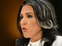 DNI Nominee Tulsi Gabbard Lays Out Weaponization of Biden Admin: Trust Is at an ‘All-Time Low