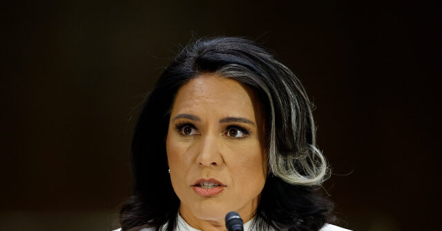 Tulsi Gabbard Addresses 'Lies and Smears' in Her Opening Statement