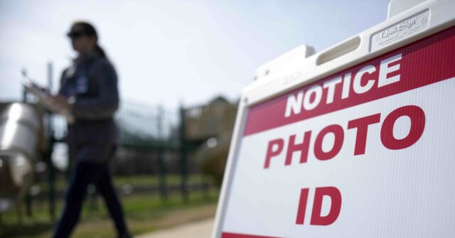 Elon Musk on California Law Banning Voter ID: 'To Make Voting Fraud Unprovable'