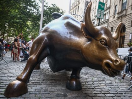 Wall Street Bull