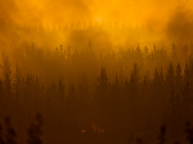 In this Jan. 21, 2017 photo, a forest fire burns in Pumanque, Chile. Chile is suffering on