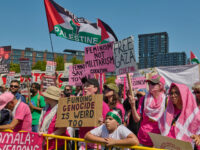 Radical Left-Wing Code Pink Links California Wildfires to Gaza Conflict in ‘Unhinged’ Protest: 