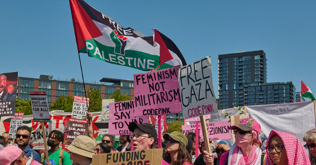 Radical Left-Wing Code Pink Links California Wildfires to Gaza Conflict in ‘Unhinged’ Protest: ‘Genocide Is Ecocide’