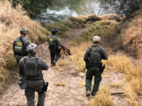 Border Patrol Chief: Migrant Encounters Drop 55% from Prior Week