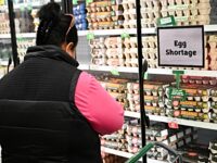 Bird Flu Outbreak Pushes Egg Prices to Record-Breaking Heights