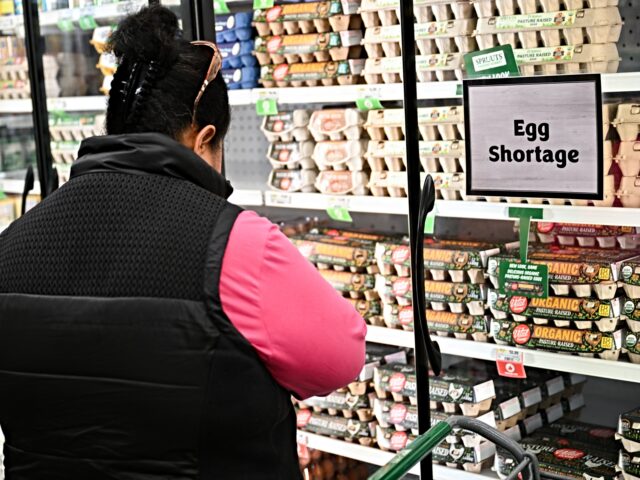 A customer browses eggs near egg shortage signage displayed on partially empty shelves at