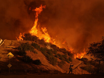 A firefighter battles the Palisades Fire in Mandeville Canyon Saturday, Jan. 11, 2025, in